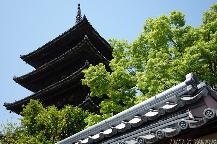 霊応山法観寺の八坂の塔