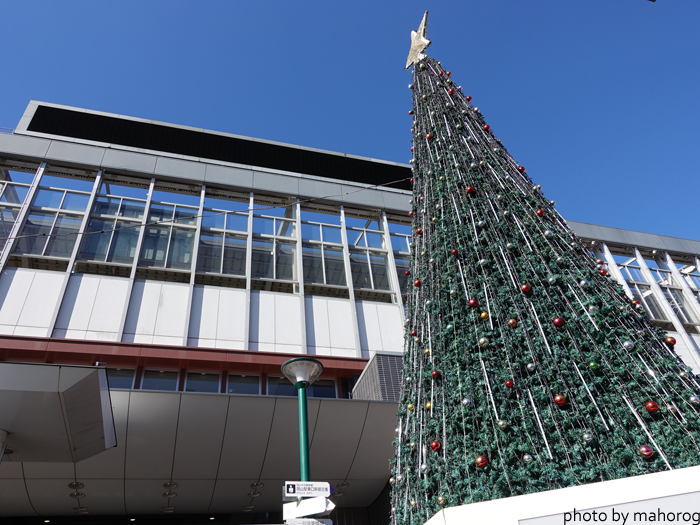岡山駅前のクリスマスツリー